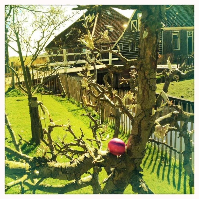 Guesthouse Boom Watergang Exterior foto